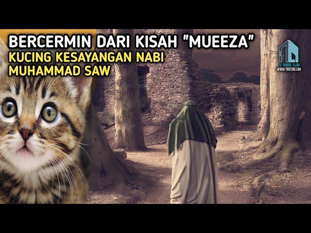 Kisah Muezza Kucing Kesayangan Nabi Muhammad SAW