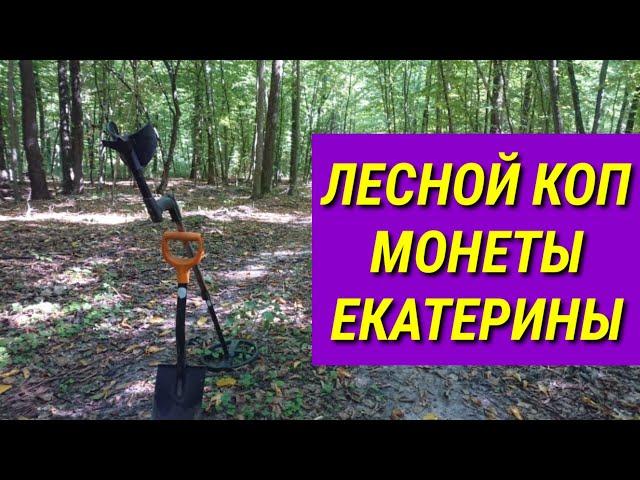 Лесной коп монеты Екатерины