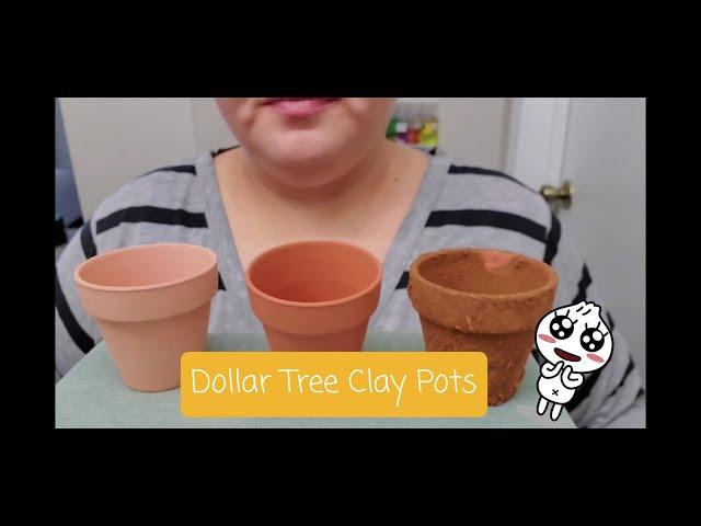 Dollar Tree Clay Pots - Maseteros de Dollar Tree.