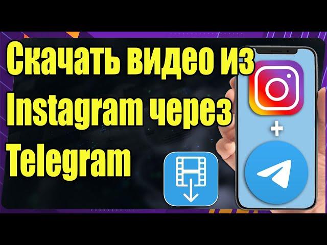 Как скачать видео из Instagram Reels в Telegram