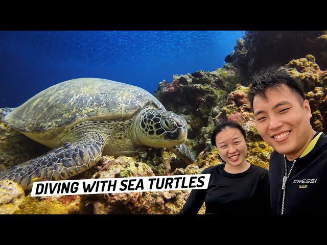 Scuba Diving with Cebu Fun Divers in Moalboal  - What can you see underwater? #coraltriangle