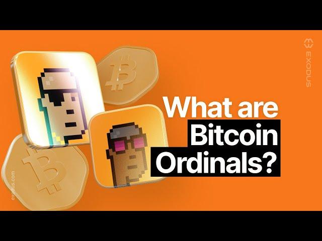 How To Understand Bitcoin Ordinals (Complete Guide)