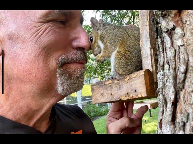 The heartwarming story of a truly enchanting grey squirrel