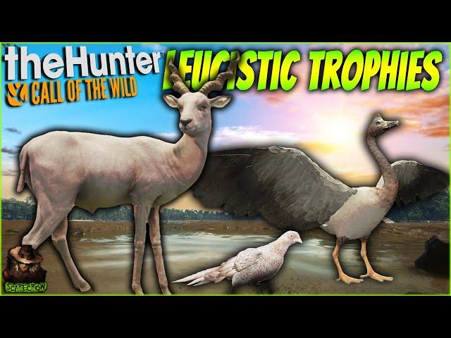 5 Hunts For GORGEOUS Leucistic Trophies! The Hunter Call of the wild Compilation