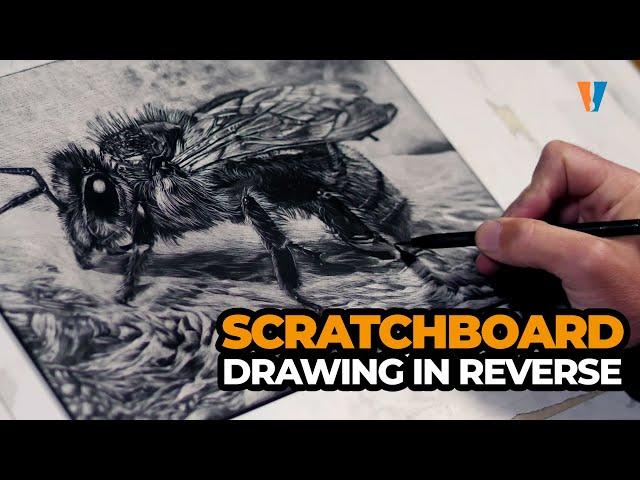 Scratchboard - Drawing in Reverse