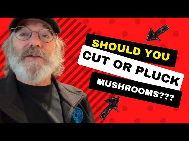 Paul Stamets- Cut or Pluck? How to Harvest a Mushroom
