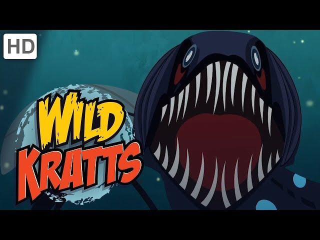 Wild Kratts - Ocean Explorers | Kids Videos