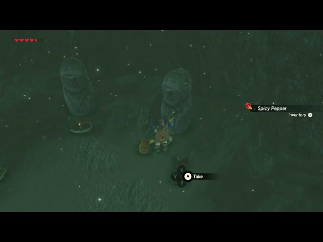 [DAY 197] of finding one korok seed everyday until Botw2 comes out