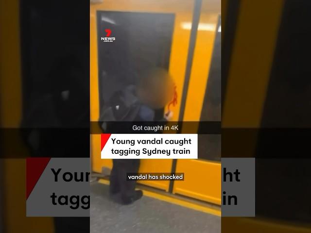 Young vandal caught spraying graffiti on Sydney train