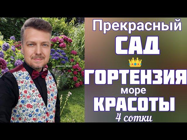 СЕЗОН цветения ГОРТЕНЗИИ  КРАСОТА невероятная ! Прогулка - обзор сада 