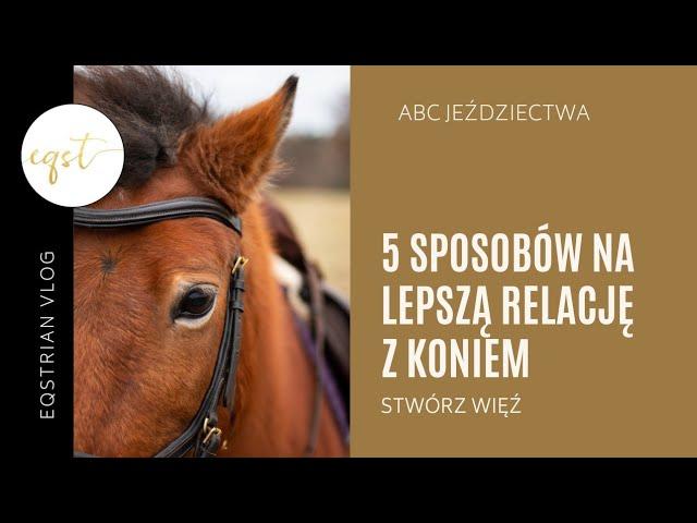 5 sposobów na lepszą relację z koniem