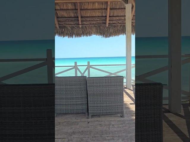 Cuba, Cayo Coco #cuba #travel #viral #youtube #subscribe #youtubeshorts #tropical #beach #sea