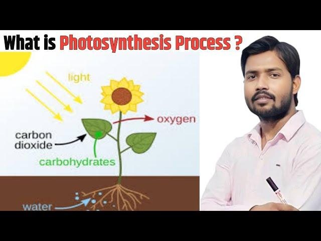 What is Photosynthesis Process ?| प्रकाश संश्लेषण क्रिया | By Khan sir  Photosynthesis By Khan sir