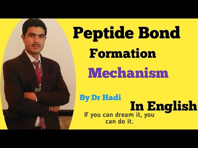 How a Peptide bond is formed Lecture #5 in ENGLISH