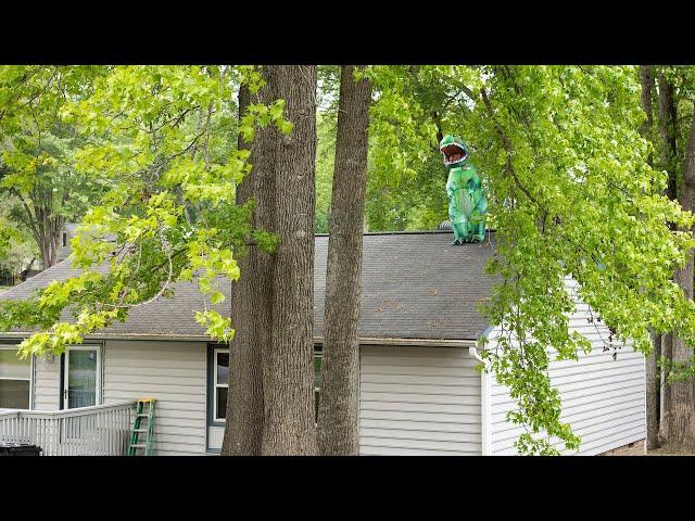 Is Your Roof The Dinosaur On The Block?