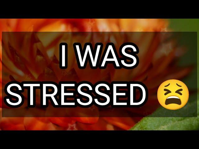 DM to DF Love Message || I WAS STRESSED 🫂 Love Poems🫂