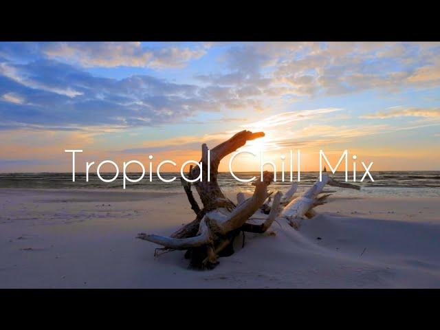 Tropical Chill House Music | Beach Lounge Chill-out Mix