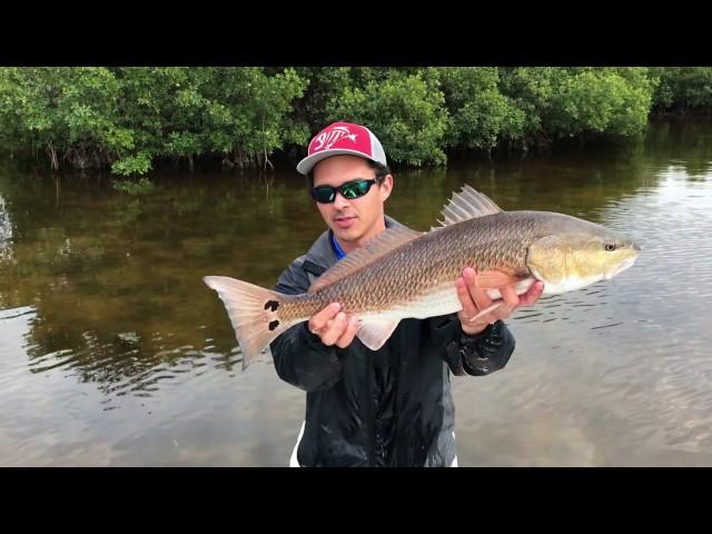 Fishing for Snook and Redfish, Punta Gorda