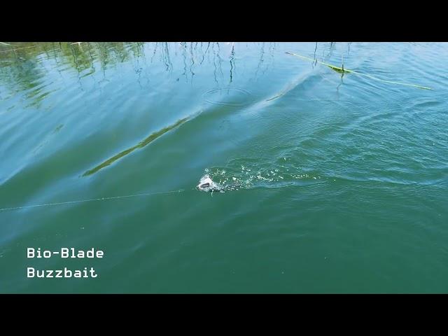 FishLab Bio-Blade Buzzbait - Swim Action