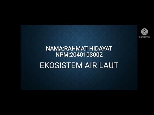 Ekosistem air laut