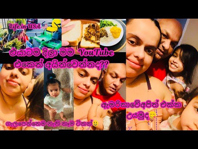 මම YouTube එකෙන් අයින් වෙනවා එයාටම දීලා| අයියත් දැන් බැහැලම වැඩ️American Village life | USA 