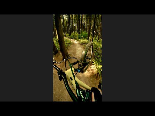 Jumps Keep Getting BIGGER!  #bike #mtb