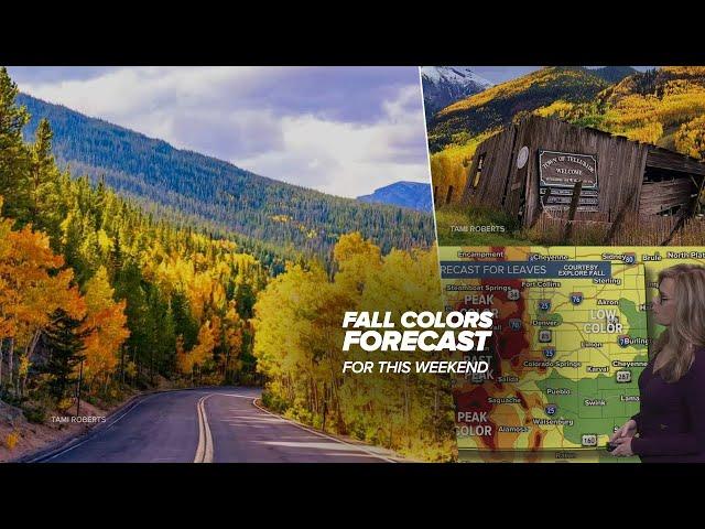 Colorado fall foliage outlook this weekend: Where to see peak colors | Updated September 28