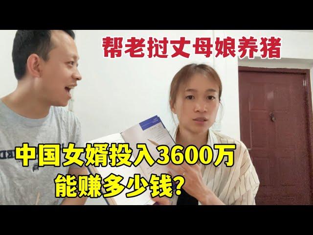 幫老撾丈母娘養豬，中國女婿大氣資助3,600萬老幣：能回本嗎？