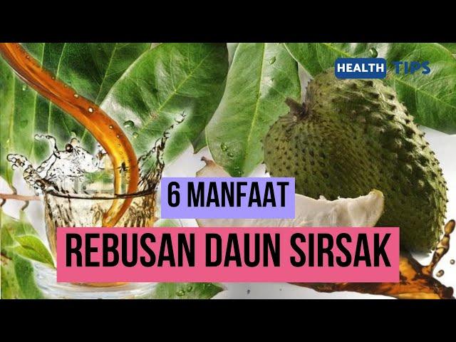 TIPS SEHAT | 6 MANFAAT DAUN SIRSAK YANG SUDAH DIREBUS BAGI KESEHATAN