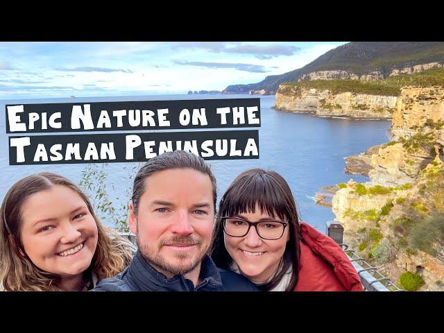 A Day on the Tasman Peninsula | Tasman Arch, Remarkable Cave, The Dogline, McHenrys Distillery