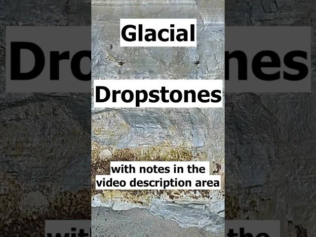 Glacial Lake Identification and Dropstones--Tacoma, Washington