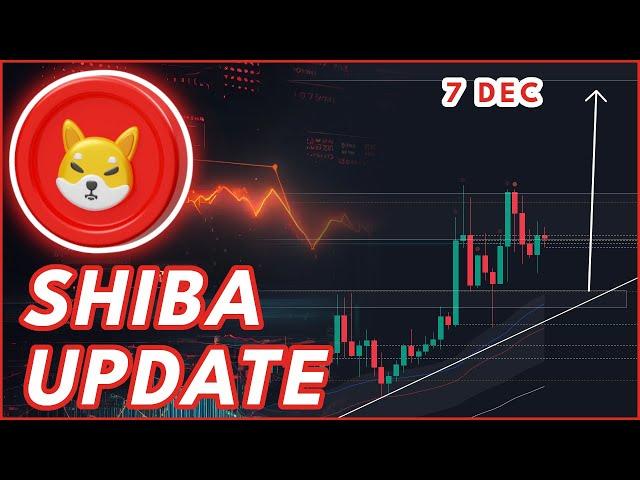 FINALLY TIME FOR SHIBA!? | SHIBA INU COIN PRICE PREDICTION & NEWS 2024!