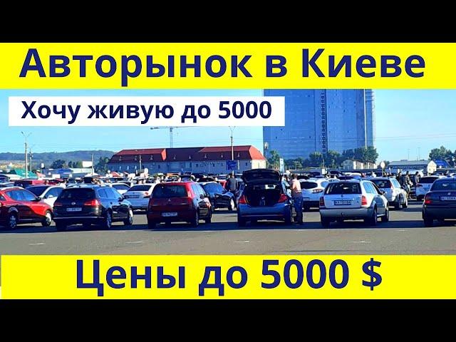 Авторынок Киева! Цены на авто до 5000 USD. Автобазар в Киеве. Ищем недорогую | Ноябрь 2020