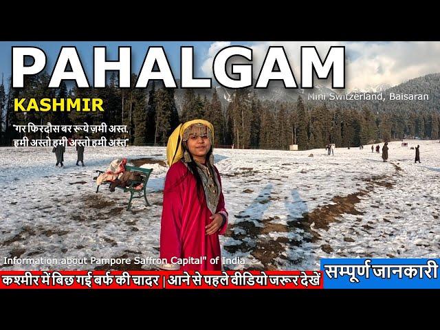 Pahalgam Kashmir | Fresh Snowfall in Pahalgam | Pahalgam Snowfall Today | Heavy Snowfall in kashmir