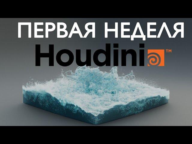 Первая неделя в HOUDINI