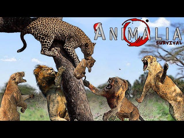 Lion Thief is BACK !  - Animalia Survival