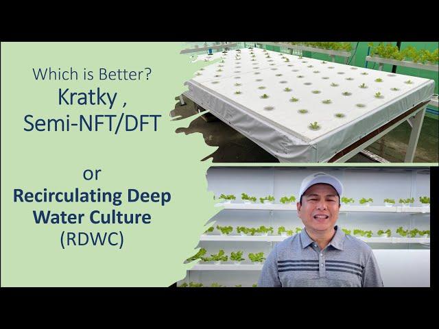 Which is Better: Kratky or Semi-NFT/DFT or RDWC? | Nars Adriano