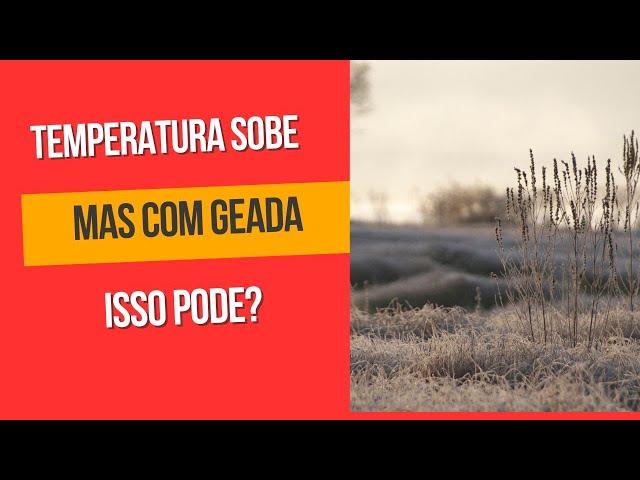 SEMANA TEM GEADA, MAS TEMPERATURA ENTRA EM ELEVAÇÃO