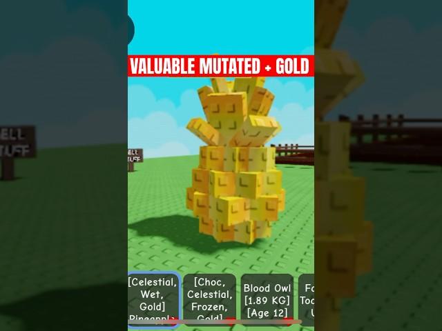 This GIANT GOLDEN Pineapple made me Rich! Grow a Garden