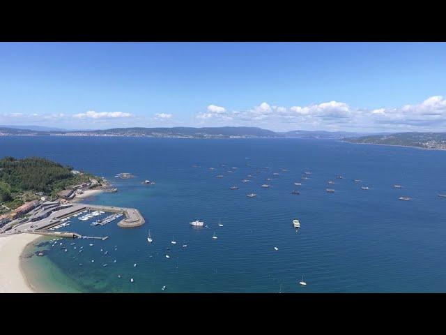 Panoramica de la Ría de Pontevedra desde Bueu