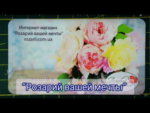 Украинский питомник "Розарий Вашей мечты". И саженцы, и сервис - порадовали!