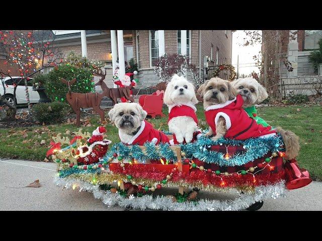 4 bé tuyệt vời dể thương diễu hành ông già Noel||The Four fabulous cute babies parade Santa Clause