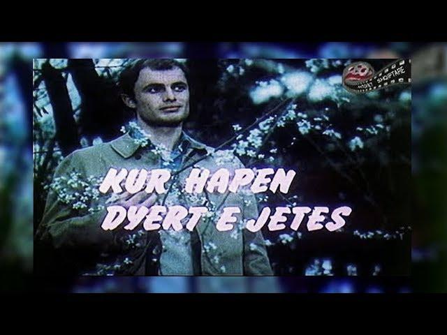 Kur hapen dyert e jetës | Vështrim Kritik S1 E8