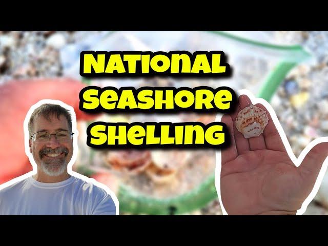 Shelling  GULF ISLANDS National Seashore 