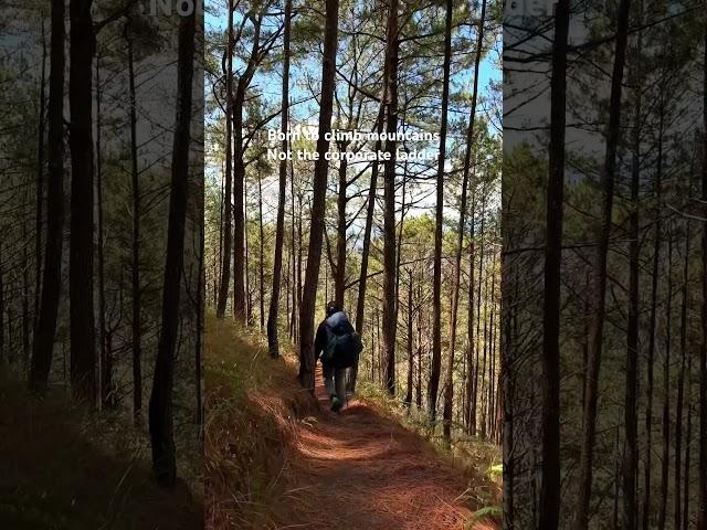 Summiting dreams not spreadsheets #shorts #mountainhiking #climbingmountains #hikingadventures