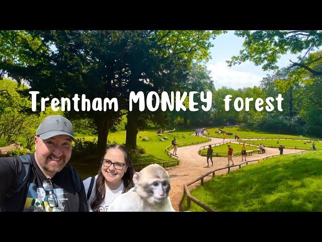 Trentham Monkey Forest | Stoke on Trent