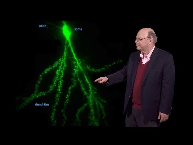 Robert Singer (Einstein) 2: RNA Localization: Following Single mRNAs from Birth to Death