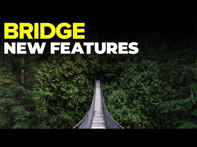 What's NEW in Adobe Bridge?