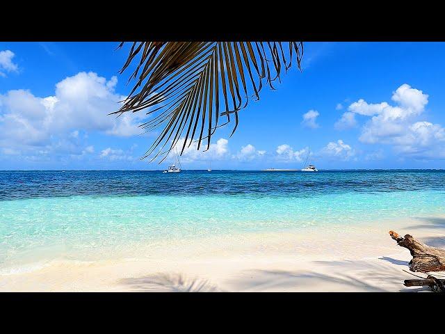 Scenic Beach View: Island Relaxation From San Blas