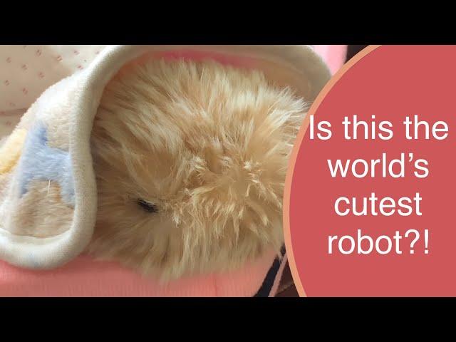 Moflin AI Robotic Pet Unboxing & First Impressions - Cutest Robot EVER 